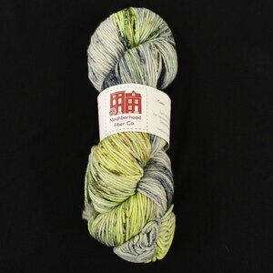 Neighborhood Fiber Co Studio Worsted Yarn Superwash Merino Wool Nexst Colorway